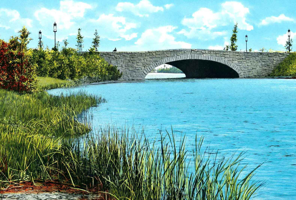 Middle Bridge Jackson Park Chicago in 1905 Vintage Print (7 Sizes)