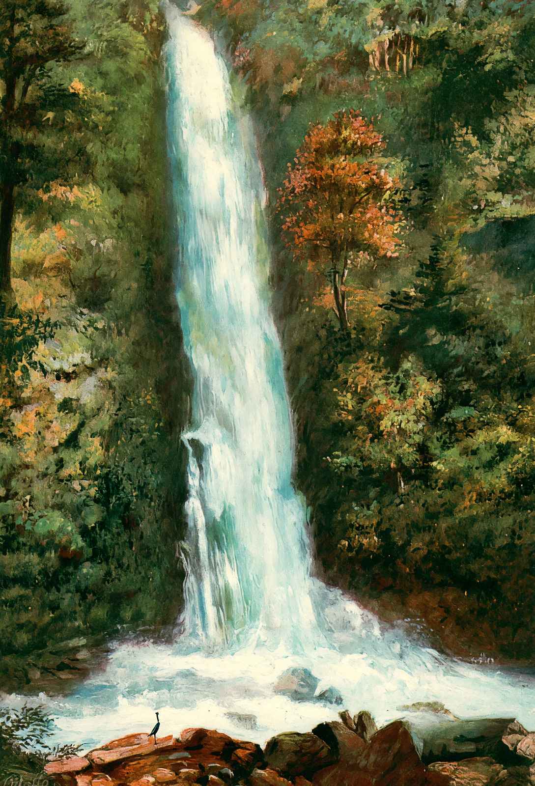 Mill Creek Falls Oregon in 1908 Vintage Print (7 Sizes) - Restored
