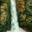 Mill Creek Falls in 1908 vintage print
