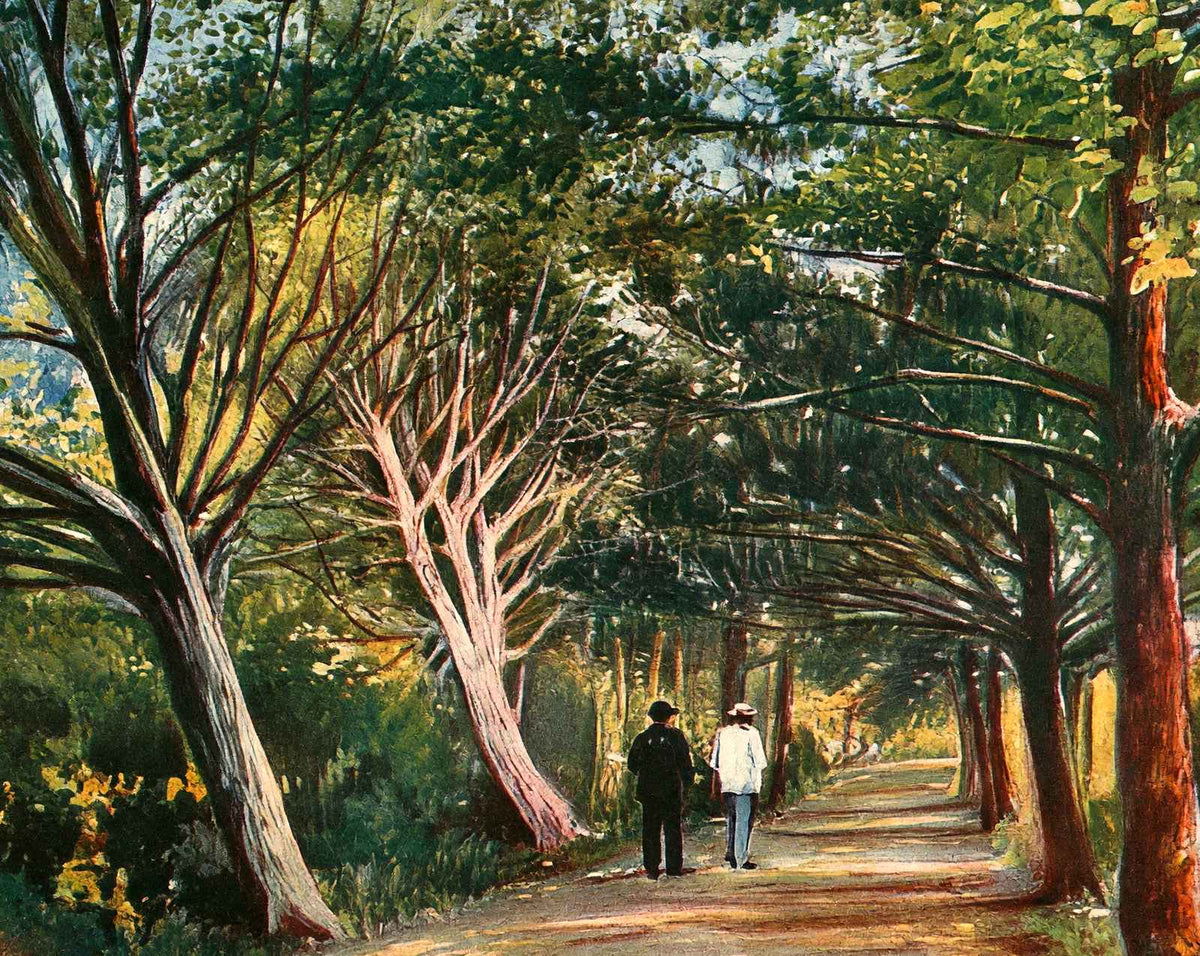 Spring Hill College Drive vintage print