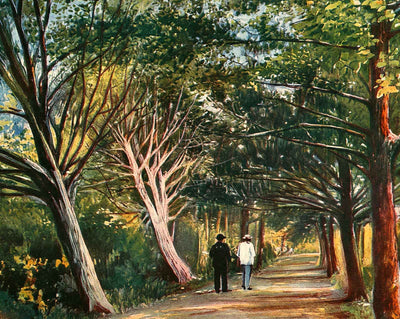 Spring Hill College Drive vintage print