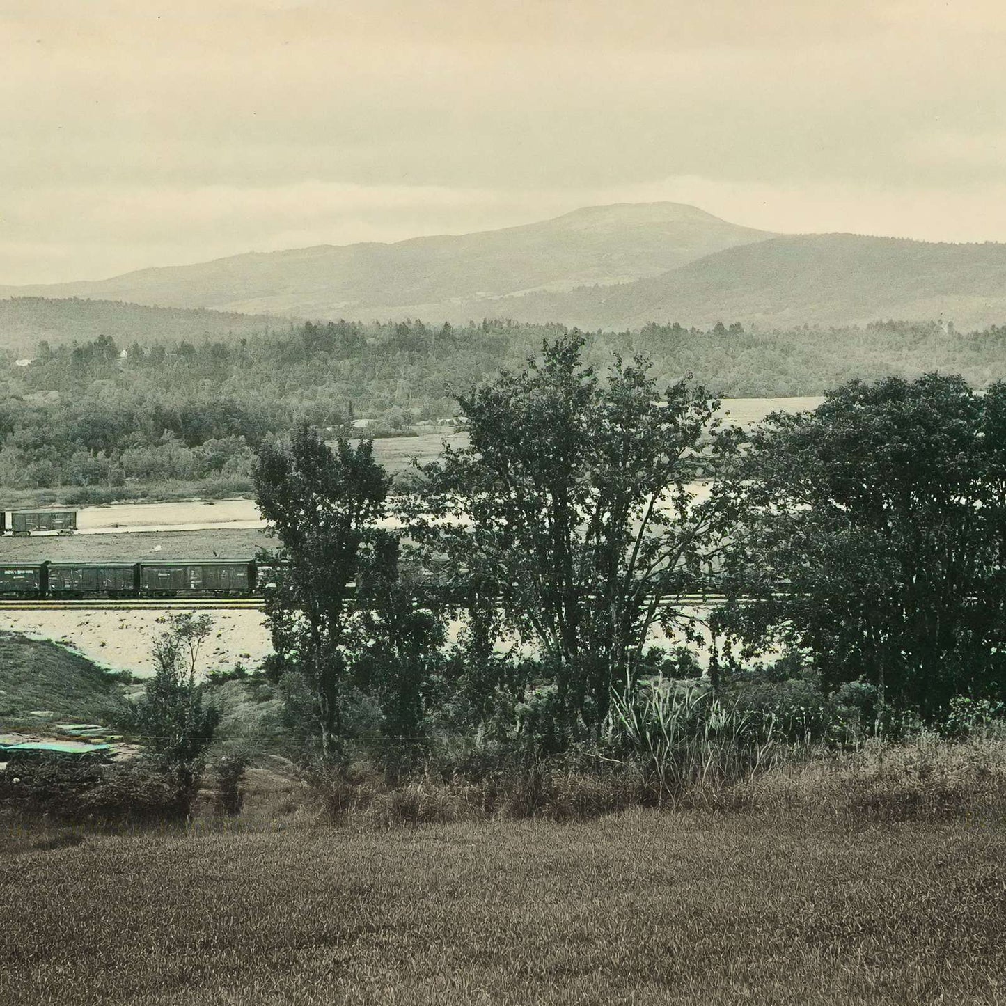 Mount Prospect Plymouth NH in 1905 Vintage Print (7 Sizes) - Acid Free