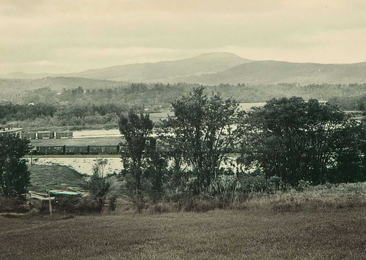 Mount Prospect Plymouth NH in 1905 Vintage Print (7 Sizes) - Acid Free