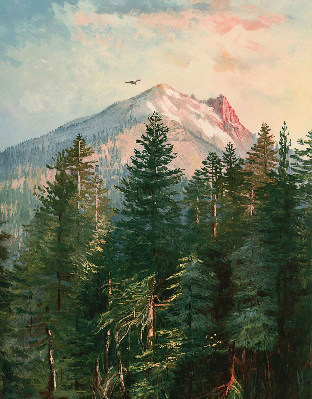 Mount Pitt Southern Oregon in 1908 Vintage Print (7 Sizes) - Reproduction