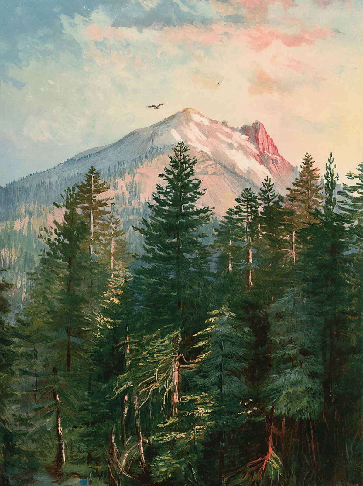 Mount Pitt Southern Oregon in 1908 Vintage Print (7 Sizes) - Reproduction
