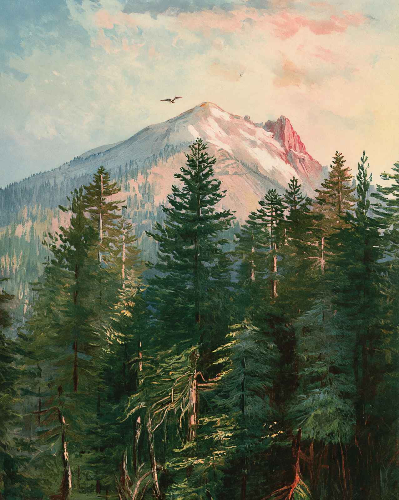 Mount Pitt