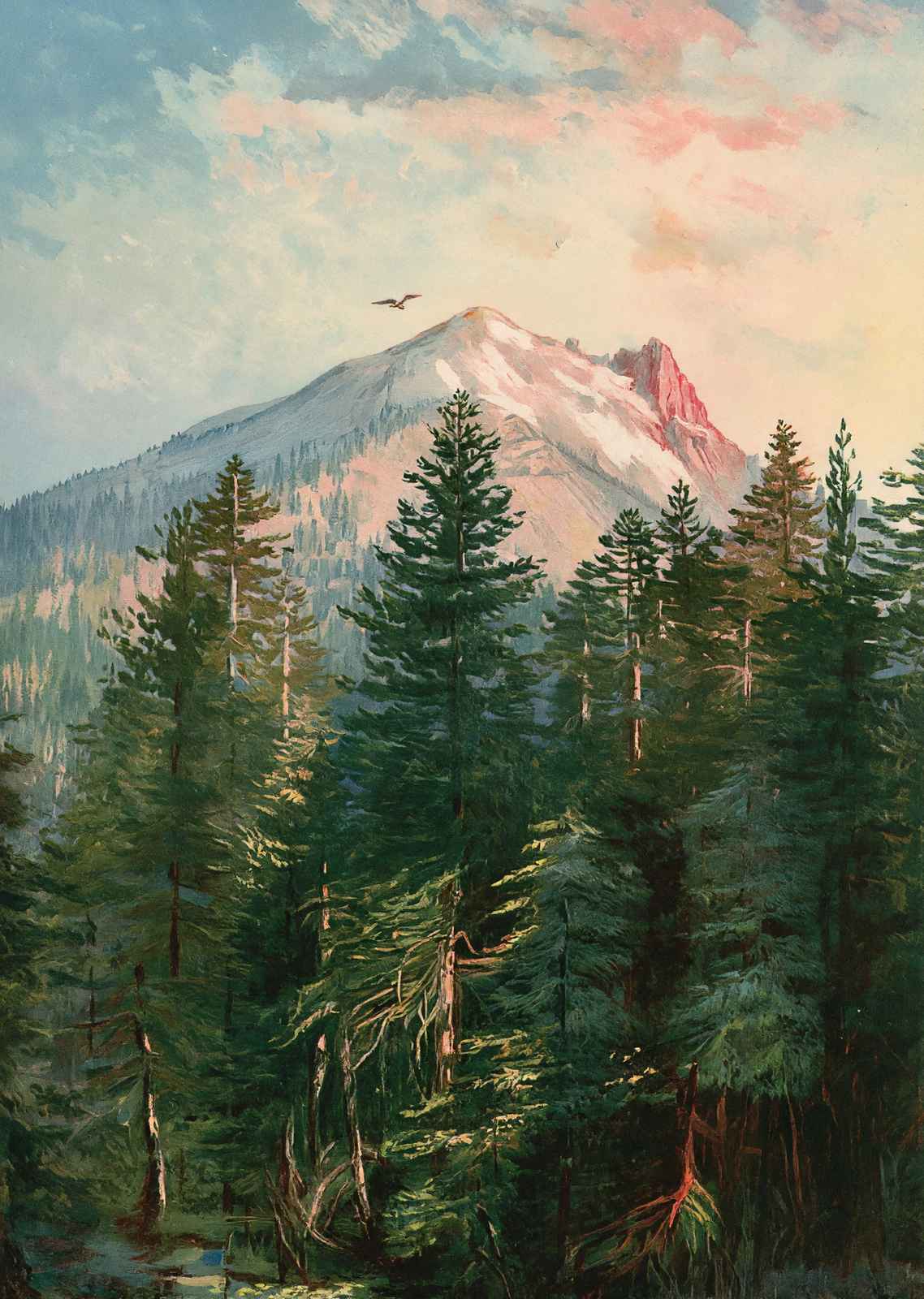 Mount Pitt Southern Oregon in 1908 Vintage Print (7 Sizes) - Reproduction