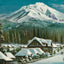 Mount Shasta California in 1908 Vintage Print (7 Sizes) - Archival Paper