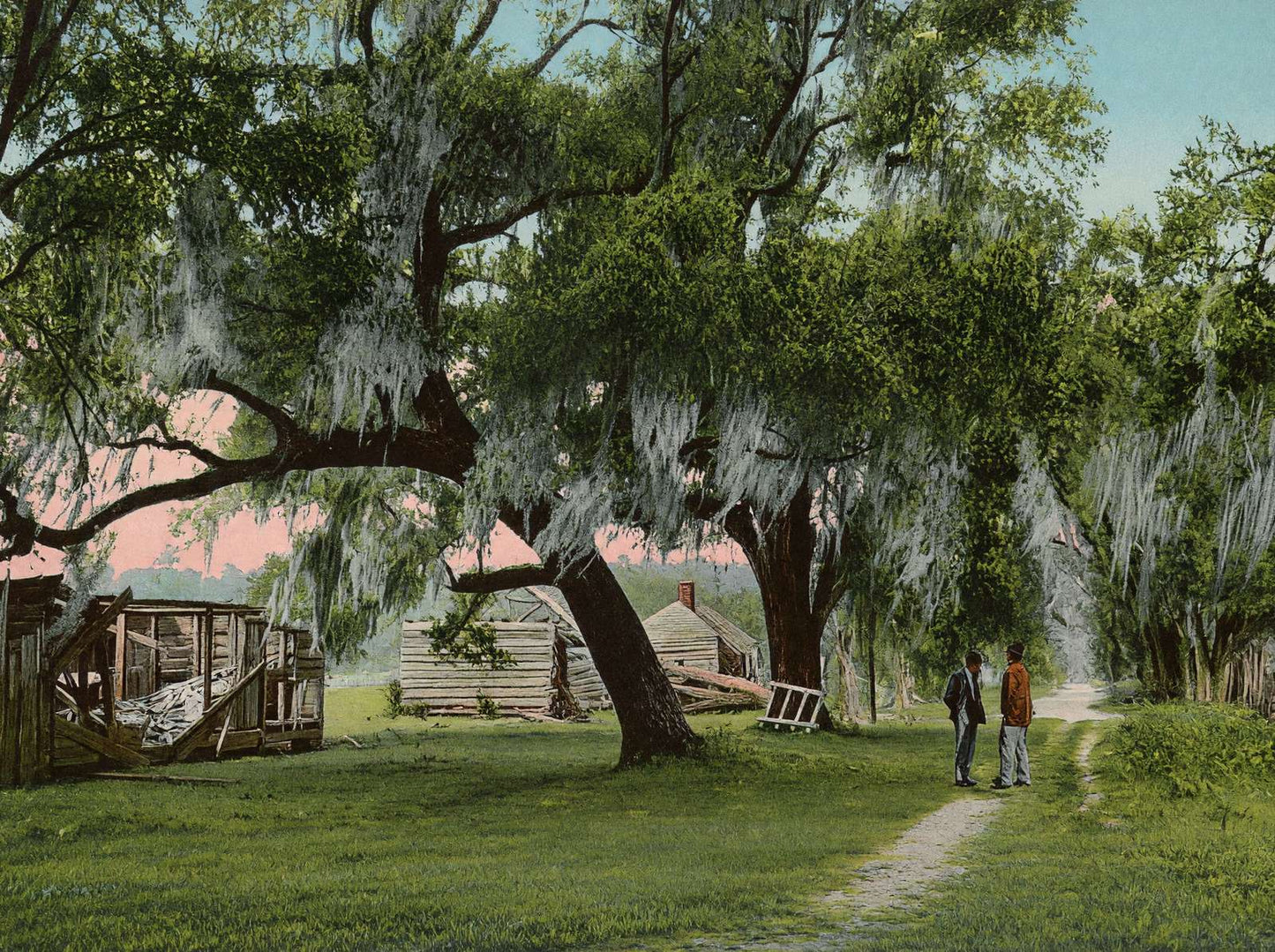 Mulberry Grove Plantation Savannah GA in 1905 Vintage Print (7 Sizes)