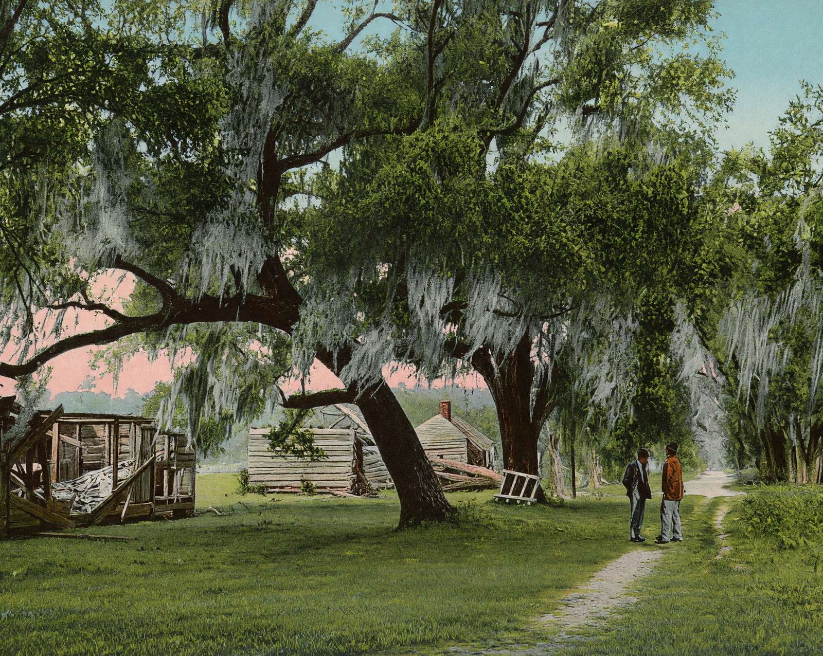 Mulberry Grove Plantation