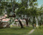 Mulberry Grove Plantation