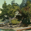 Near the Gurnett Casco Bay Maine in 1908 Vintage Print (7 Sizes)