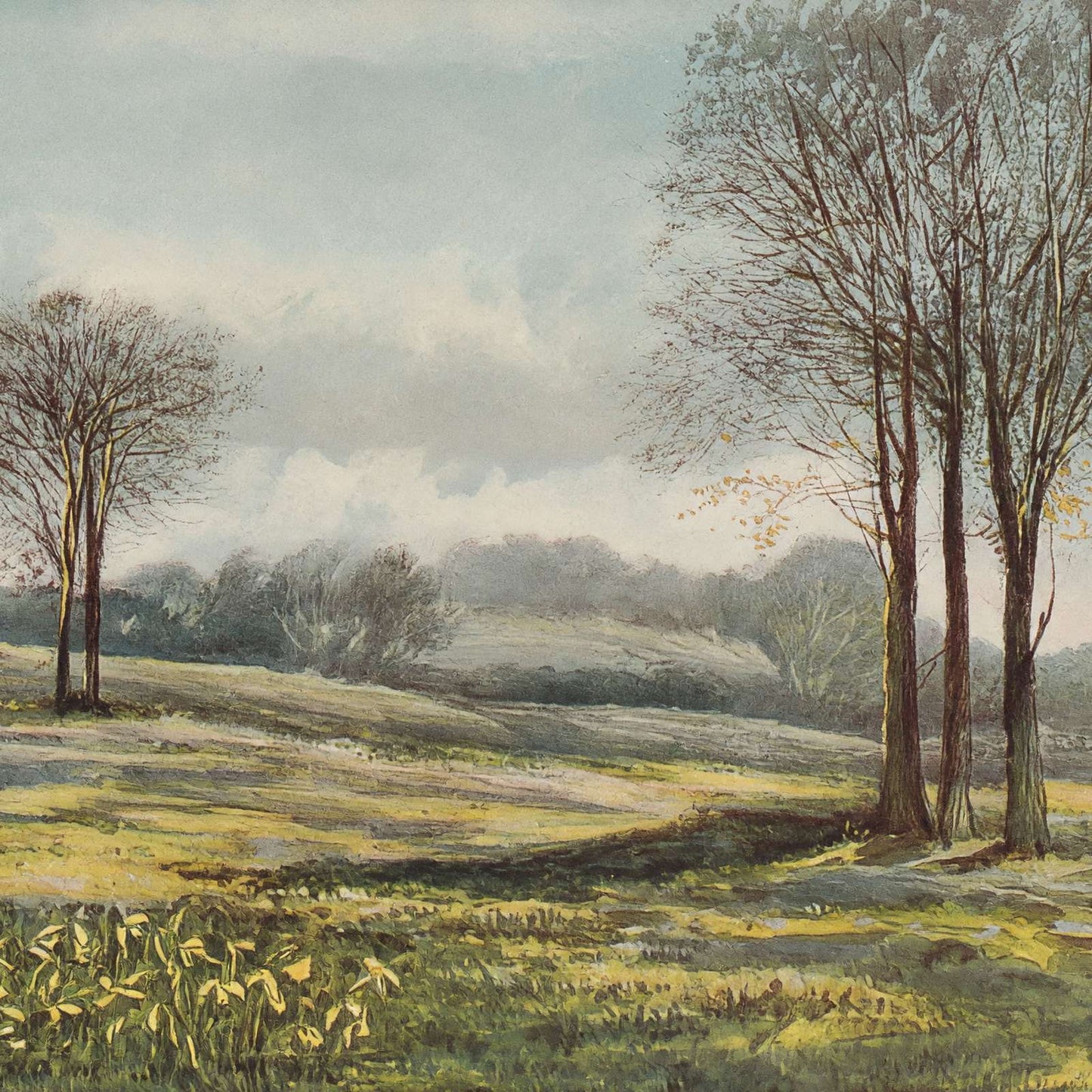 Minstead in March New Forest in 1906 Vintage Print (7 Sizes) - Archival Paper