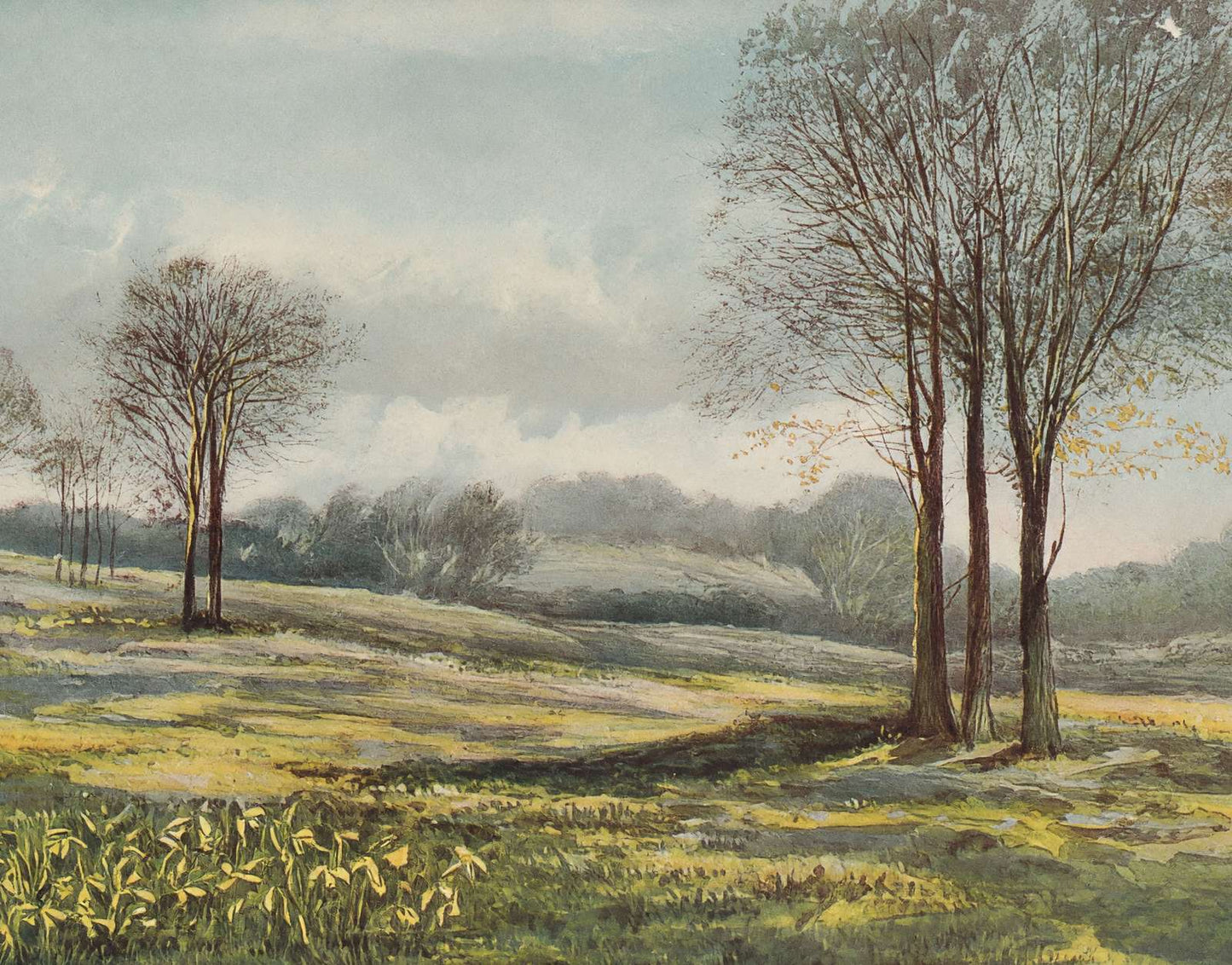 Minstead in March New Forest in 1906 Vintage Print (7 Sizes) - Archival Paper