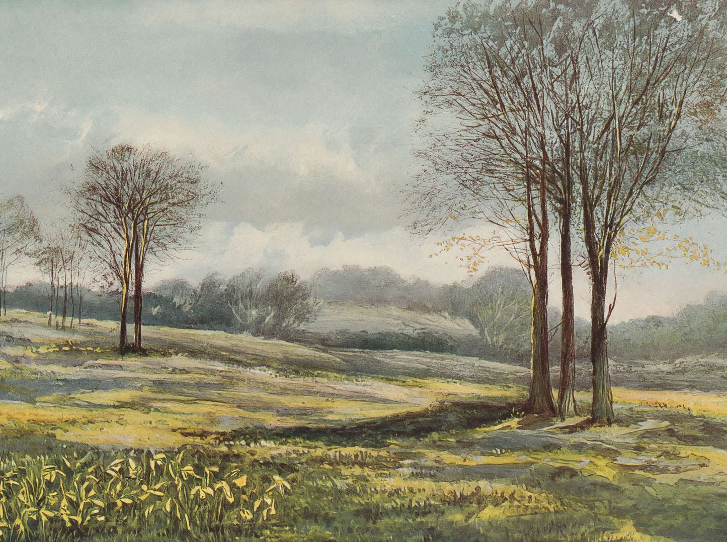 Minstead in March New Forest in 1906 Vintage Print (7 Sizes) - Archival Paper