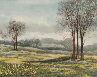 Minstead in March