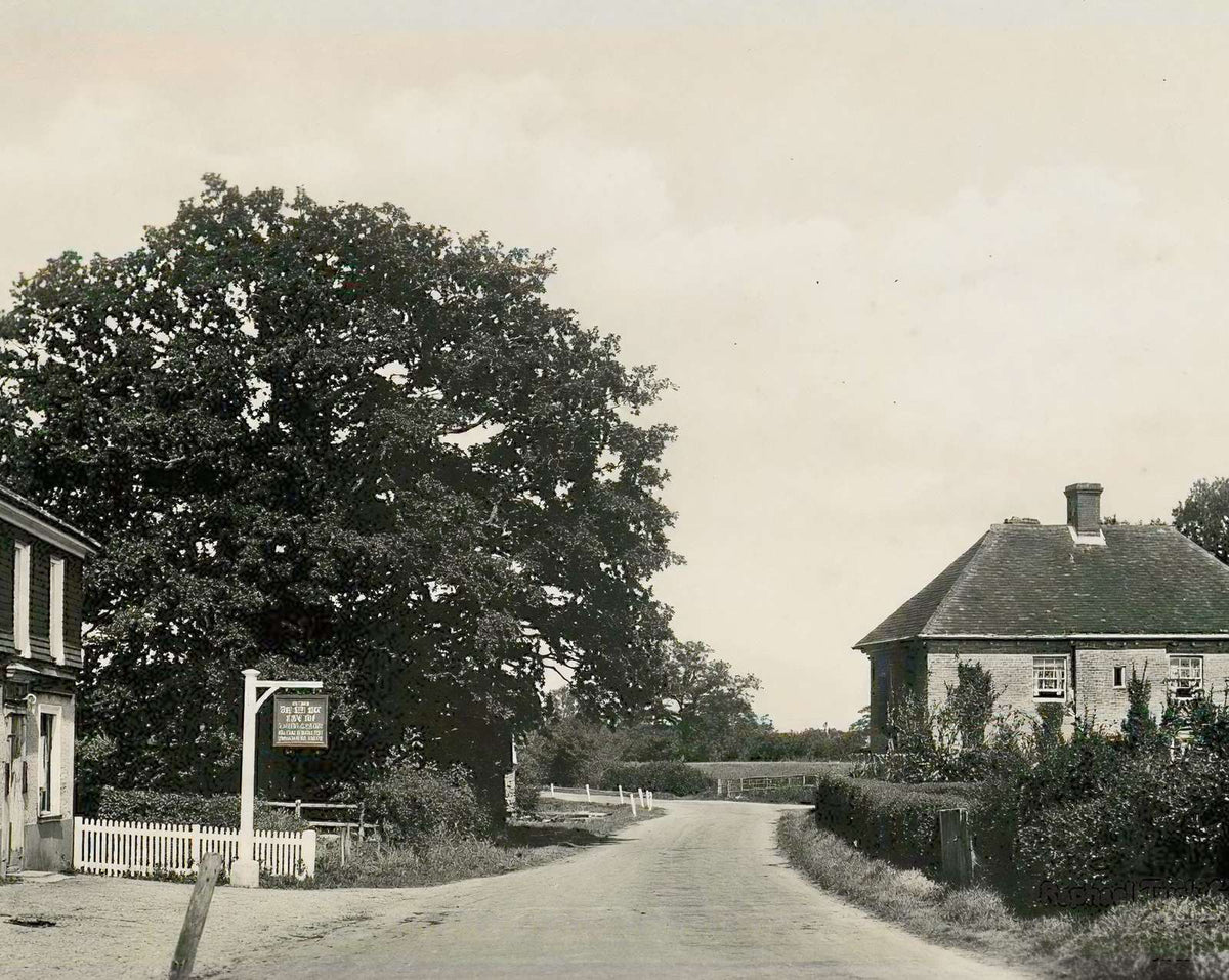 The New Inn