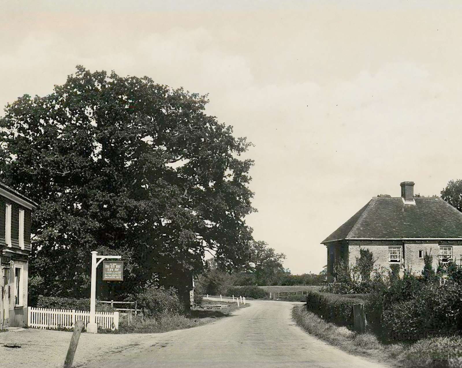 The New Inn