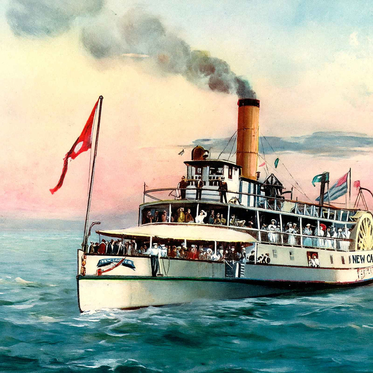 New Camelia on Lake Pontchartrain LA in 1907 Vintage Print (7 Sizes)