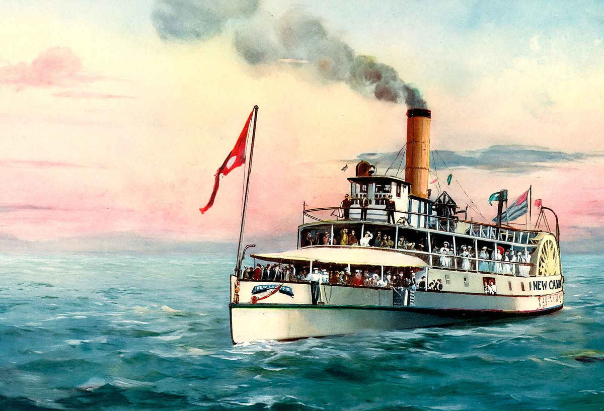 New Camelia on Lake Pontchartrain LA in 1907 Vintage Print (7 Sizes)