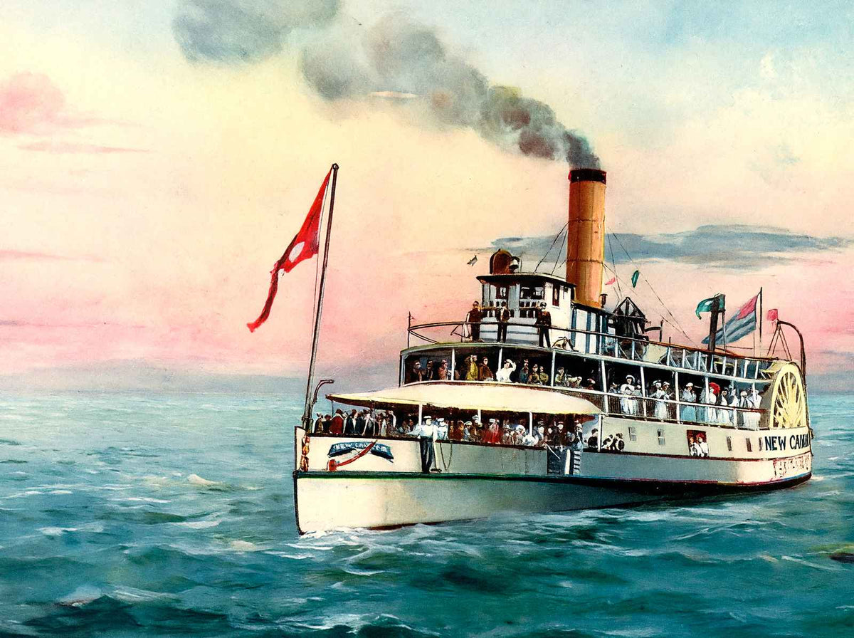 New Camelia on Lake Pontchartrain LA in 1907 Vintage Print (7 Sizes)