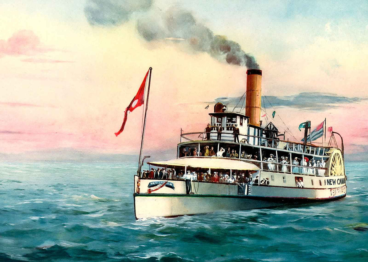 New Camelia on Lake Pontchartrain LA in 1907 Vintage Print (7 Sizes)