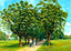 Lovers Lane Audubon Park New Orleans in 1908 Painting Print (7 Sizes)