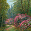 Rhododendrons in Full Bloom New Forest in 1929 Art Print (7 Sizes)