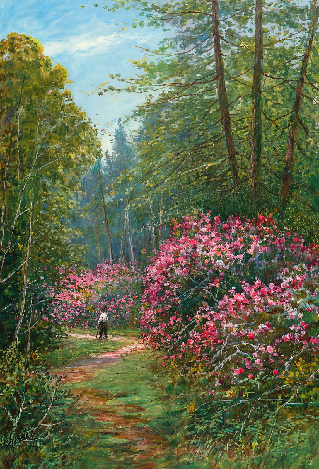 Rhododendrons in Full Bloom New Forest in 1929 Art Print (7 Sizes)