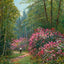 Rhododendrons in Full Bloom New Forest in 1929 Art Print (7 Sizes)