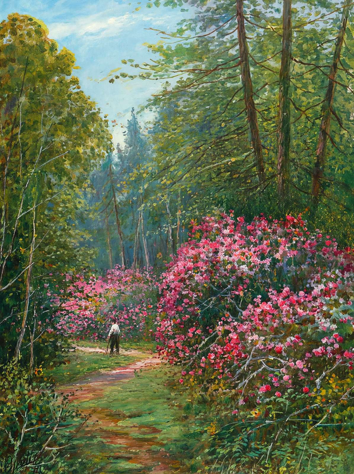Rhododendrons in Full Bloom New Forest in 1929 Art Print (7 Sizes)