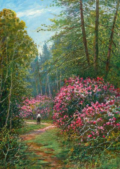 Rhododendrons in Full Bloom New Forest in 1929 Art Print (7 Sizes)