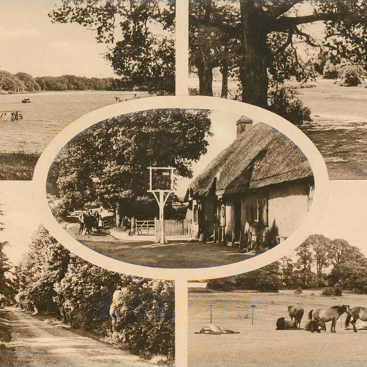New Forest in 1943 Vintage Print (7 Sizes) - Restored