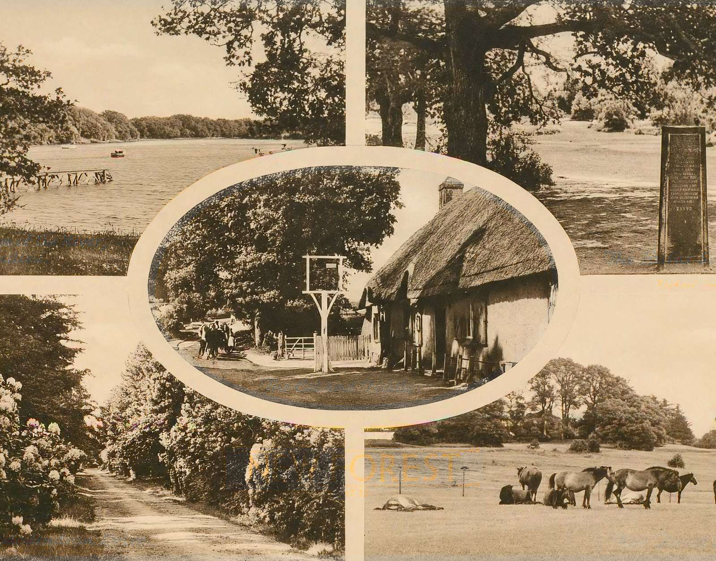 New Forest in 1943 Vintage Print (7 Sizes) - Restored