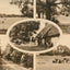 New Forest in 1943 Vintage Print (7 Sizes) - Restored