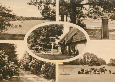 New Forest in 1943 Vintage Print (7 Sizes) - Restored