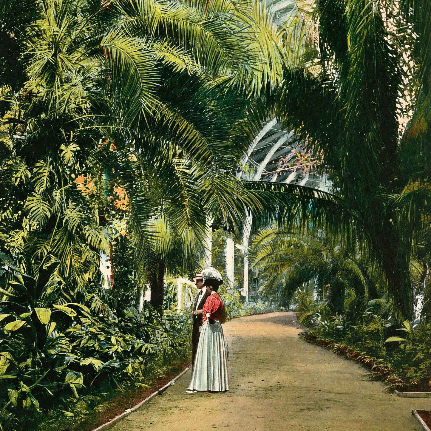 Horticultural Hall Audubon Park New Orleans in 1908 Vintage Print (7 Sizes)