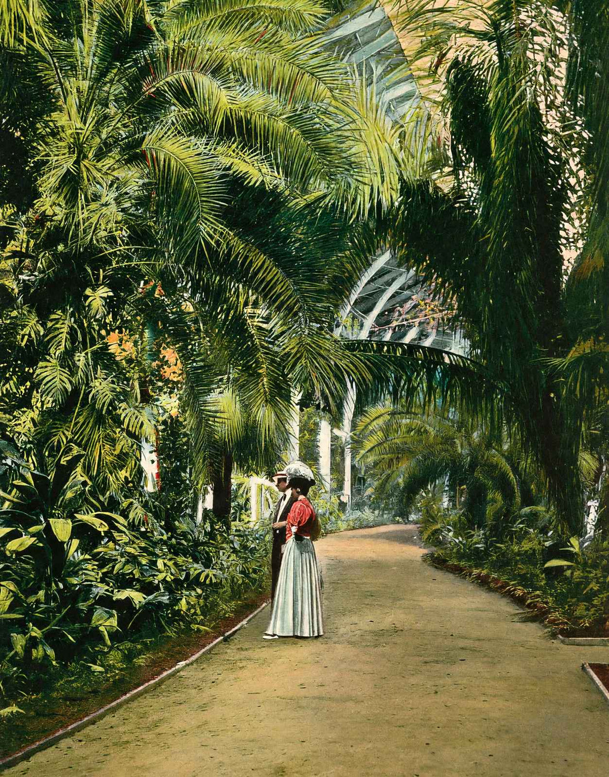 Horticultural Hall Audubon Park New Orleans in 1908 Vintage Print (7 Sizes)