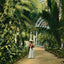 Horticultural Hall Audubon Park New Orleans in 1908 Vintage Print (7 Sizes)