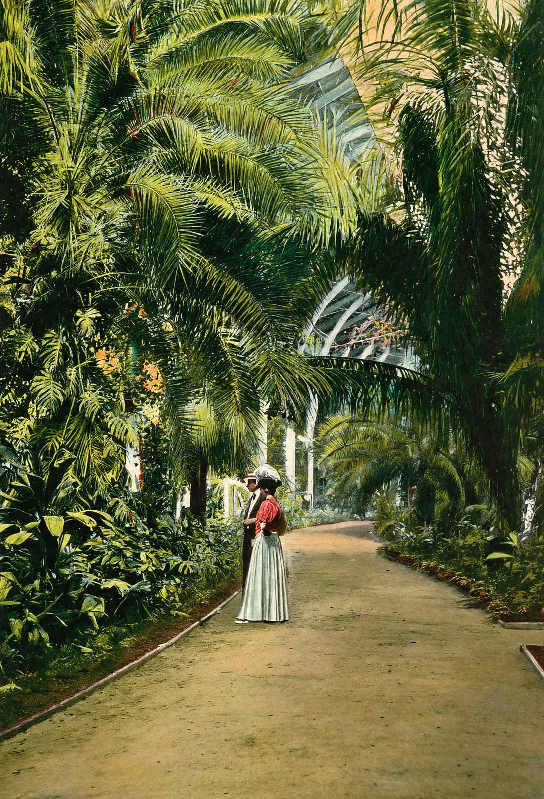 Horticultural Hall Audubon Park New Orleans in 1908 Vintage Print (7 Sizes)