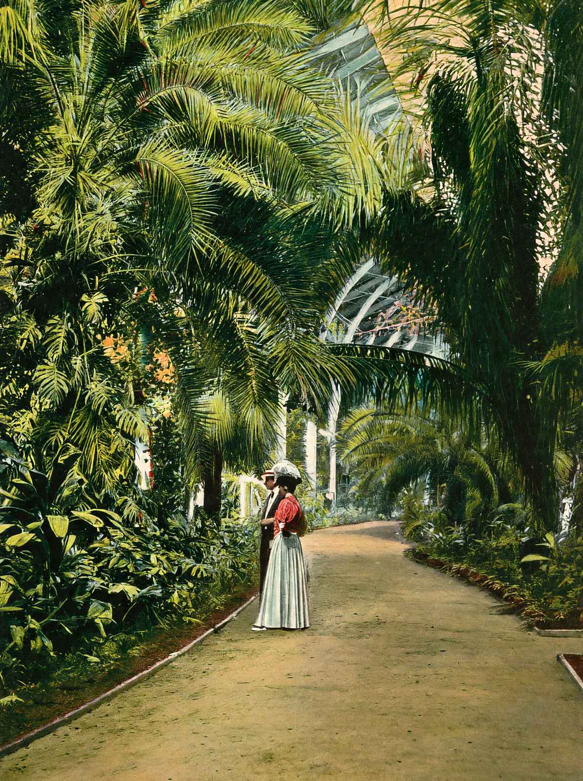 Horticultural Hall Audubon Park New Orleans in 1908 Vintage Print (7 Sizes)
