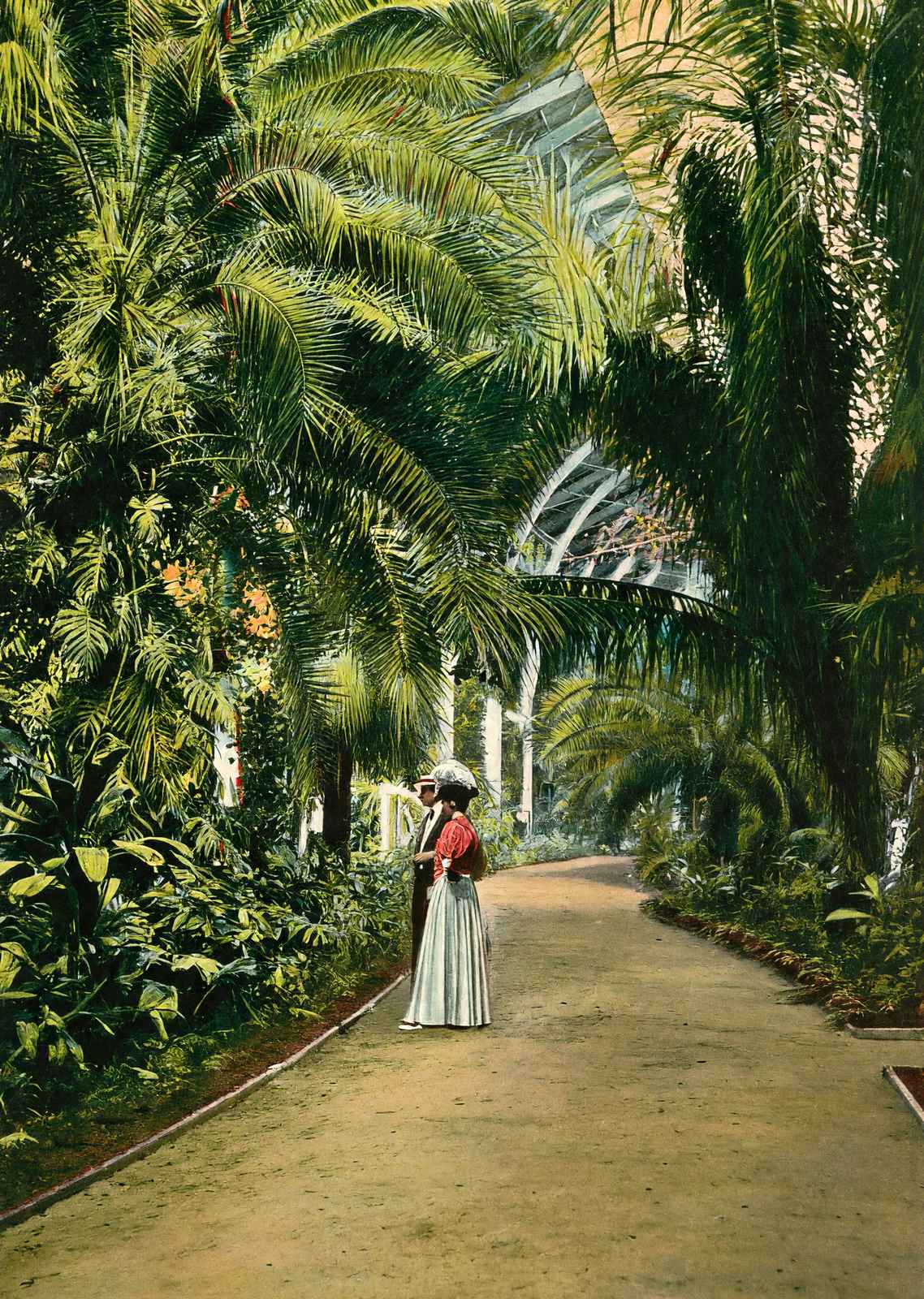 Horticultural Hall Audubon Park New Orleans in 1908 Vintage Print (7 Sizes)