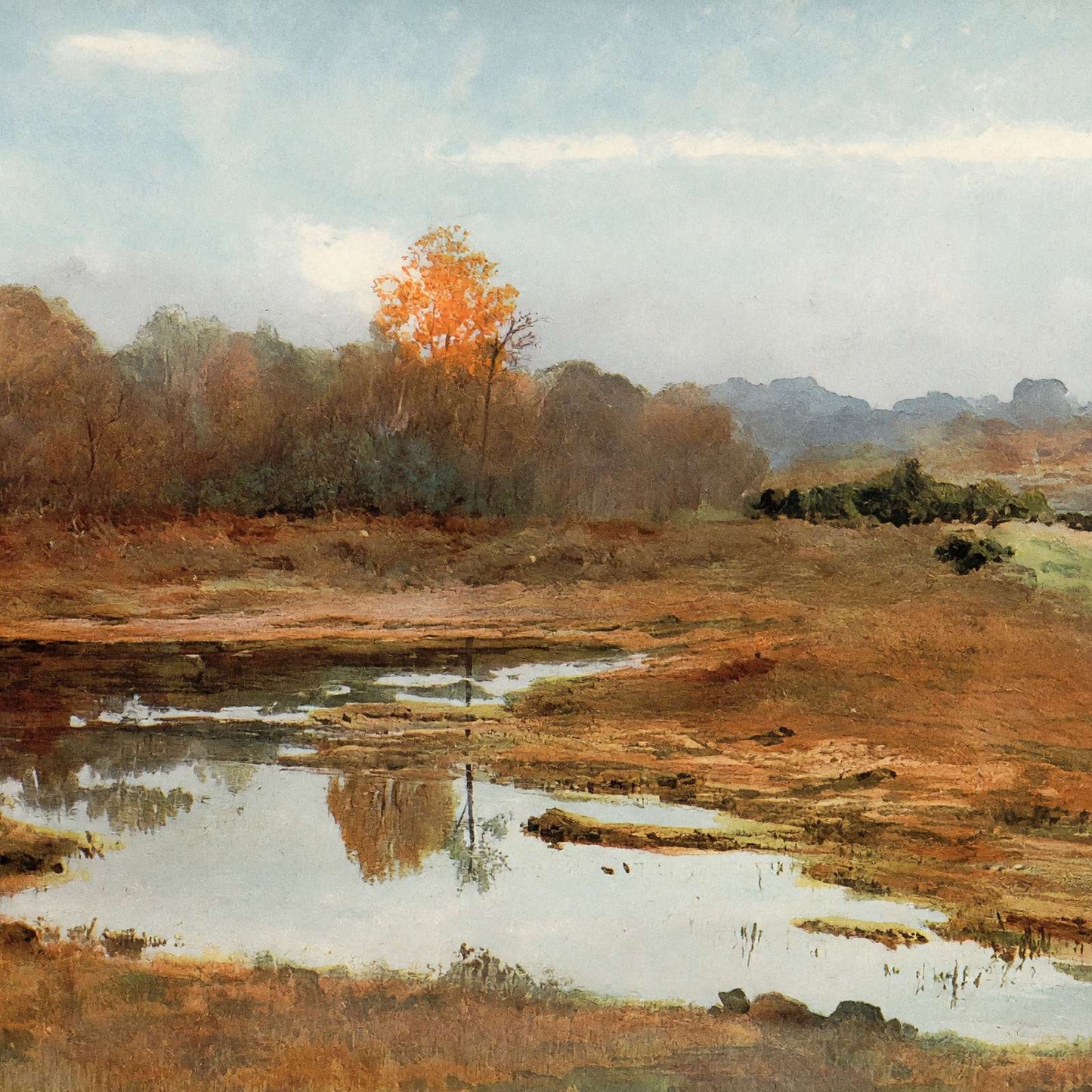 A Wet October New Forest in 1906 Vintage Print (7 Sizes) - Reproduction