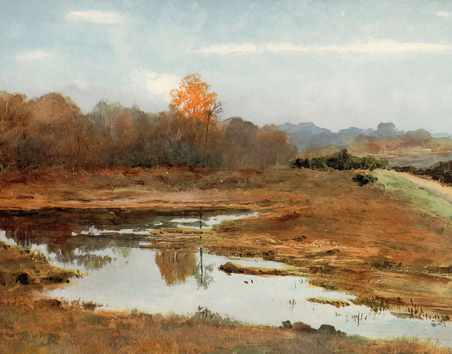 A Wet October New Forest in 1906 Vintage Print (7 Sizes) - Reproduction
