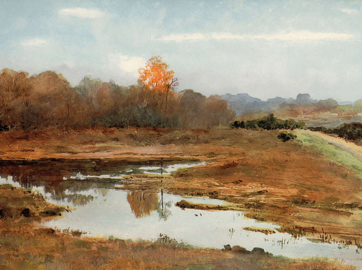 A Wet October New Forest in 1906 Vintage Print (7 Sizes) - Reproduction