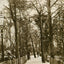 The New Fisherman's Walk Southbourne in 1906 Vintage Print (7 Sizes)