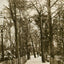 The New Fisherman's Walk Southbourne in 1906 Vintage Print (7 Sizes)