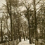 The New Fisherman's Walk Southbourne in 1906 Vintage Print (7 Sizes)