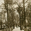 The New Fisherman's Walk