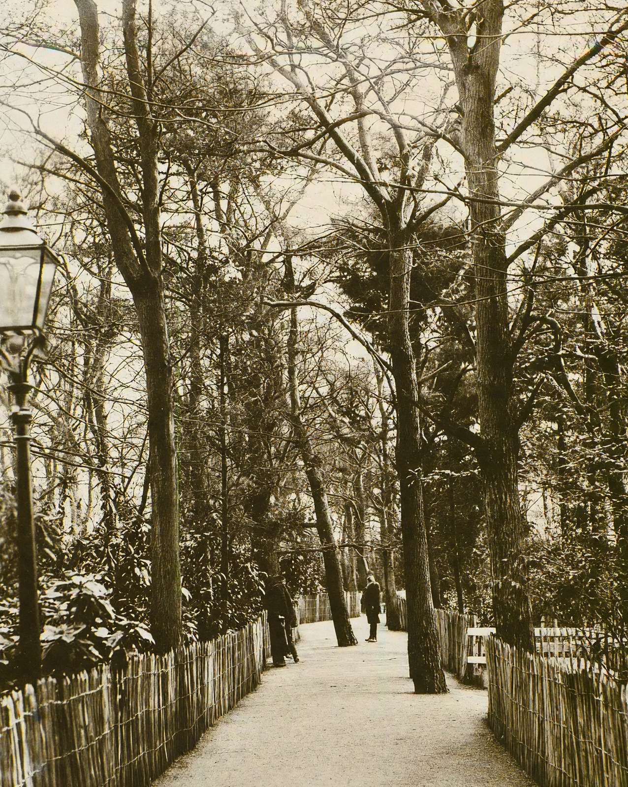 The New Fisherman's Walk